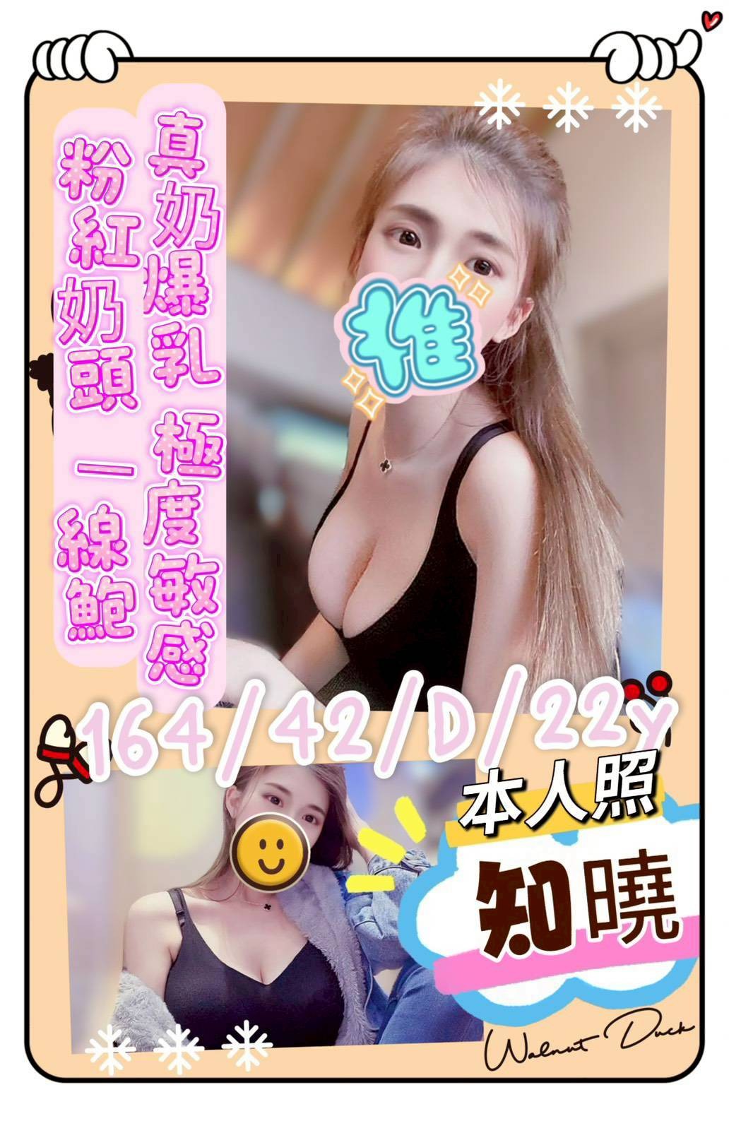 台南北區 善化區定點